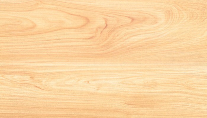 Màu sắc gỗ Maple