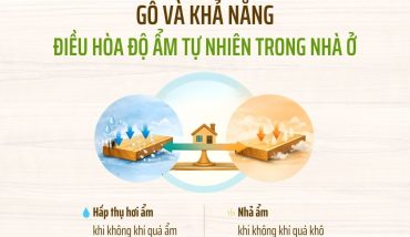 Go-va-kha-nang-dieu-hoa-do-am