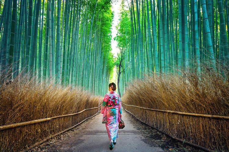 Rừng tre Arashiyama