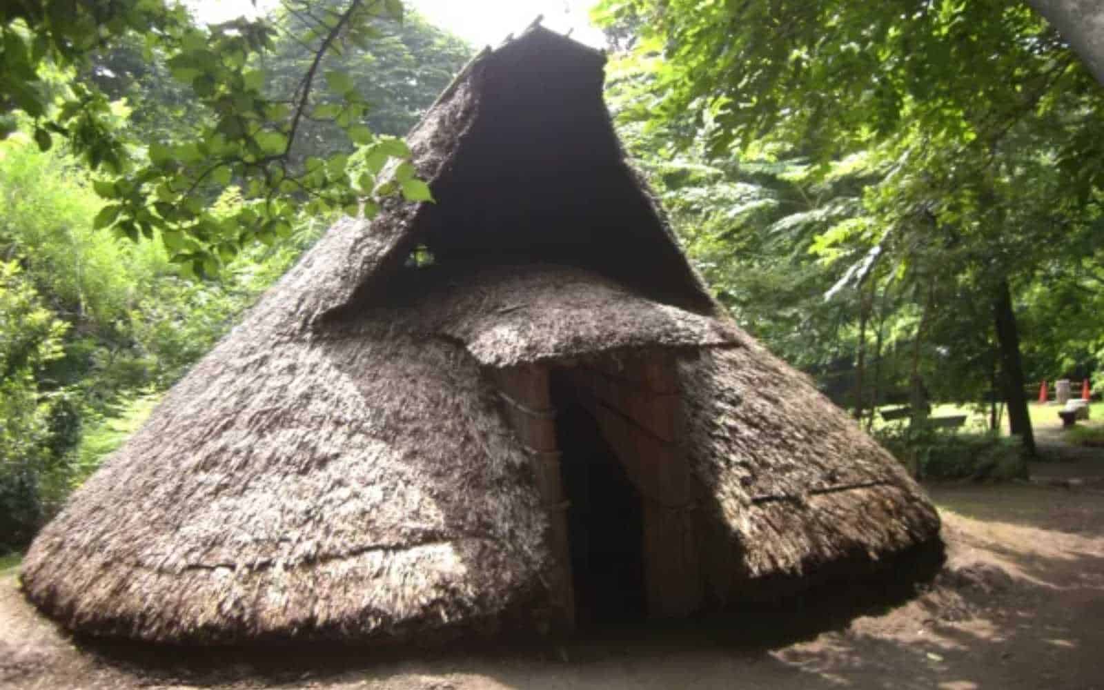 Nha-ban-ham-Jomon-Nhat-Ban-–-Khoi-dau-cua-tu-duy-thich-nghi-trong-kien-truc