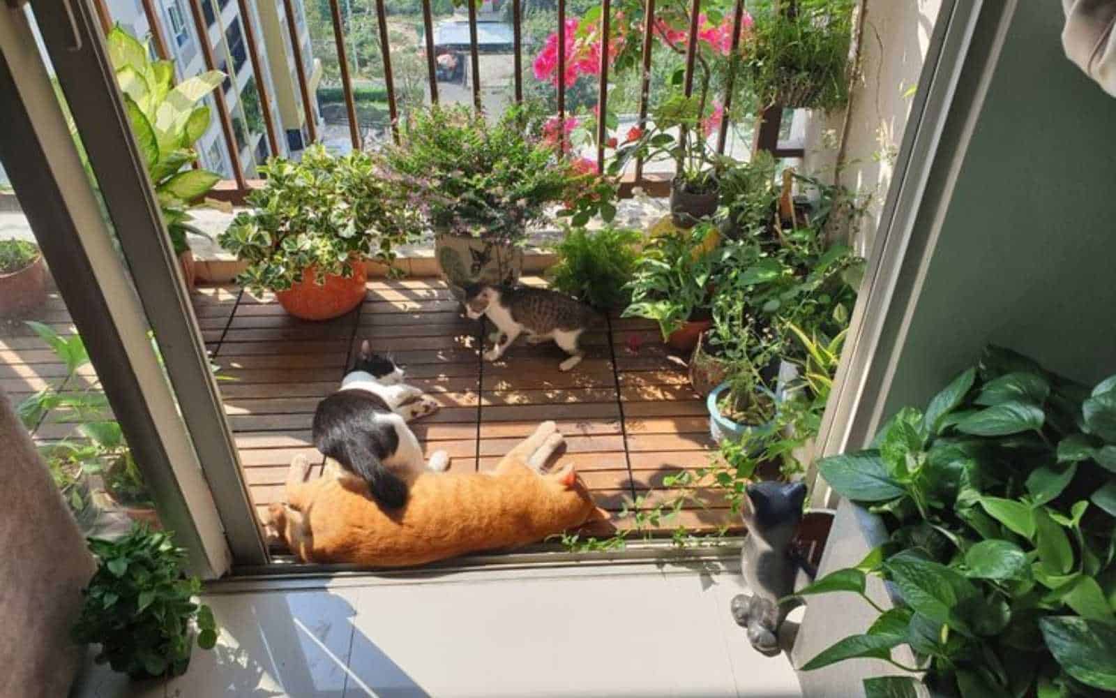 thiet-ke-ban-cong-phong-cach-Nhat